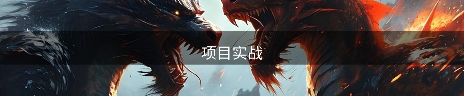 项目实战